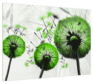 Obraz páperia zelených púpav (70x50 cm)