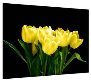 Obraz žltých tulipánov (70x50 cm)