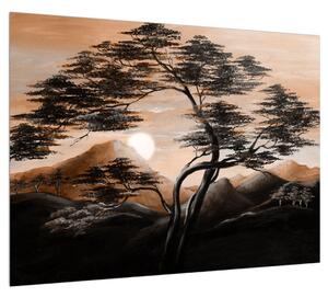 Obraz stromu, hôr a slnka (70x50 cm)