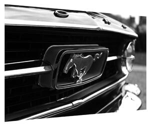 Detailný obraz automobilu značky Mustang (90x60 cm)