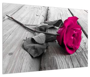 Obraz ružovej ruže (90x60 cm)
