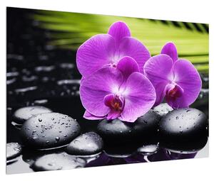 Obraz orchideí (90x60 cm)