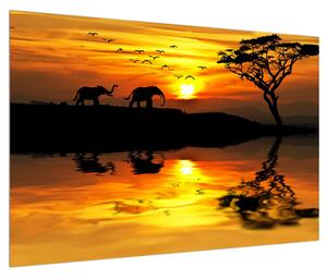 Obraz africkej krajiny so slonom (90x60 cm)