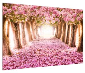 Obraz kvetinového chodníka (90x60 cm)