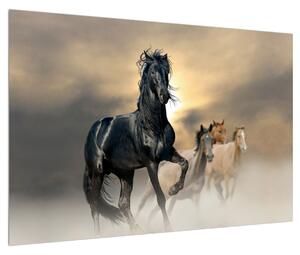 Obraz koňa (90x60 cm)