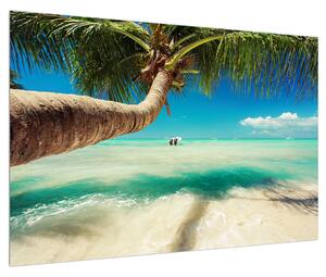 Obraz čistého mora s palmou (90x60 cm)