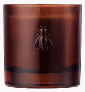 Vonná sviečka Abeille (Orange Blossom)