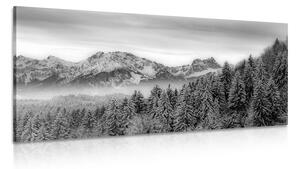 Obraz zamrznuté hory v čiernobielom prevedení