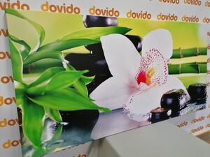 Obraz orchidea s japonskou tematikou