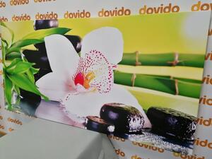 Obraz orchidea s japonskou tematikou