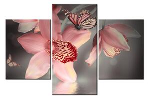 Obraz kvetov a motýľa (90x60 cm)