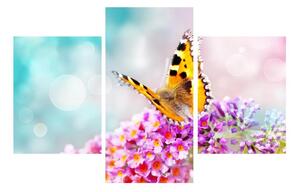 Obraz motýľa na kvetoch (90x60 cm)