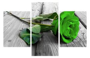 Obraz zelenej ruže (90x60 cm)