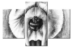 Čiernobiely obraz baletky (90x60 cm)