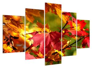 Obraz jesenných listov (150x105 cm)