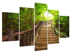 Letný obraz schodov v prírode (150x105 cm)