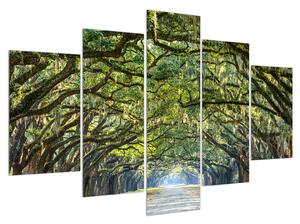 Obraz stromovej aleje (150x105 cm)