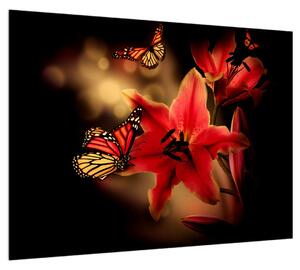 Obraz ľalie s motýľom (70x50 cm)