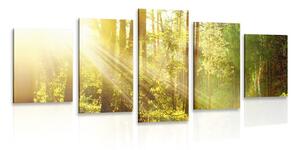 5-dielny obraz slnečné lúče v lese