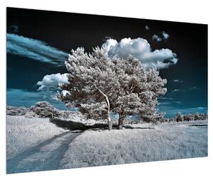 Obraz snehovo bieleho stromu (90x60 cm)