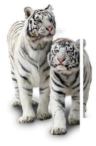 Obraz bieleho tigra (90x60 cm)