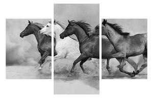 Čiernobiely obraz koní (90x60 cm)