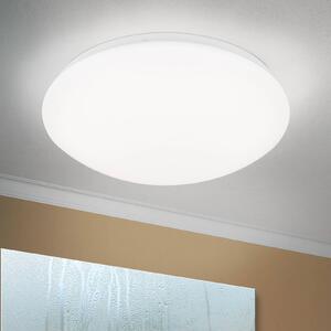 LED stropné svietidlo Nedo zakrivené, Ø 33 cm