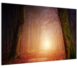 Obraz jesenného lesa v hmle (90x60 cm)