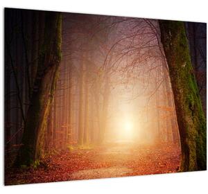 Obraz jesenného lesa v hmle (70x50 cm)