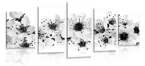 5-dielny obraz čerešňové kvety v čiernobielom prevedení