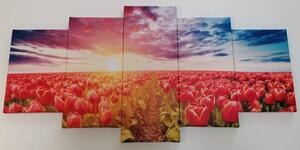 5-dielny obraz východ slnka nad lúkou s tulipánmi