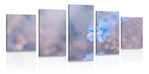 5-dielny obraz modré kvety na vintage pozadí