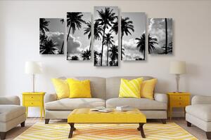 5-dielny obraz kokosové palmy na pláži v čiernobielom prevedení