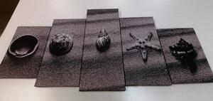5-dielny obraz mušle na piesočnatej pláži v čiernobielom prevedení