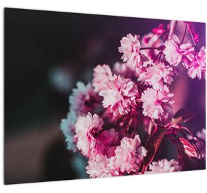 Obraz kvetov stromov (70x50 cm)