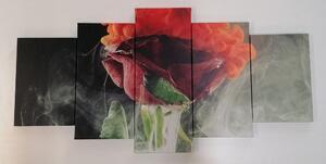 5-dielny obraz ruža s abstraktnými prvkami