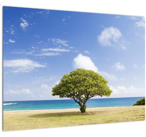Obraz pláže so stromom (70x50 cm)