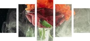 5-dielny obraz ruža s abstraktnými prvkami