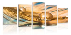 5-dielny obraz kvapka vody na zlatom pierku