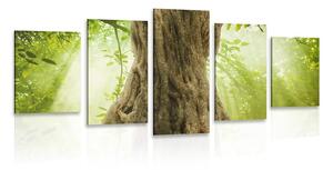 5-dielny obraz kmeň stromu