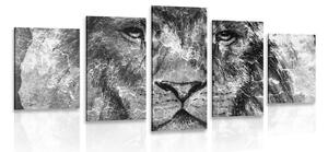 5-dielny obraz tvár leva v čiernobielom prevedení