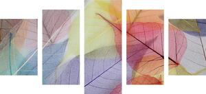 5-dielny obraz žilky na farebných listoch