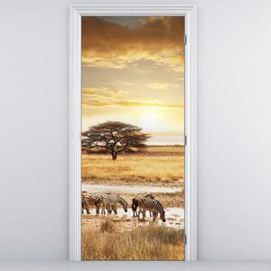 Fototapeta na dvere - zebry (95x205cm)