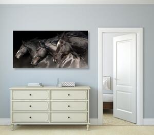 Obraz tri cválajúce kone