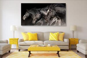 Obraz tri cválajúce kone