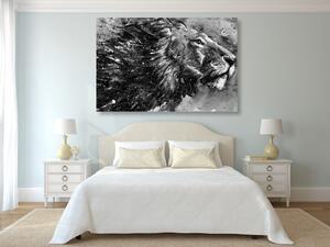 Obraz kráľ zvierat v čiernobielom akvareli