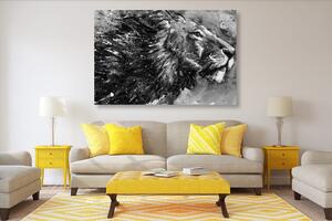 Obraz kráľ zvierat v čiernobielom akvareli