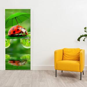 Fototapeta na dvere - Lienka s dáždnikom (95x205cm)
