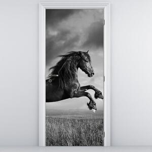 Fototapeta na dvere - Kôň (95x205cm)