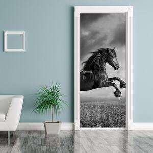 Fototapeta na dvere - Kôň (95x205cm)